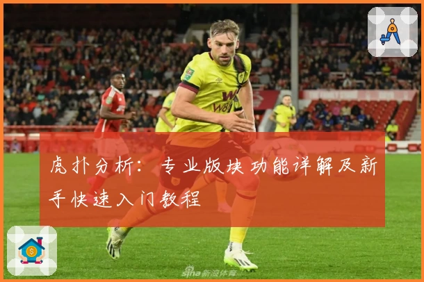 虎扑分析：专业版块功能详解及新手快速入门教程